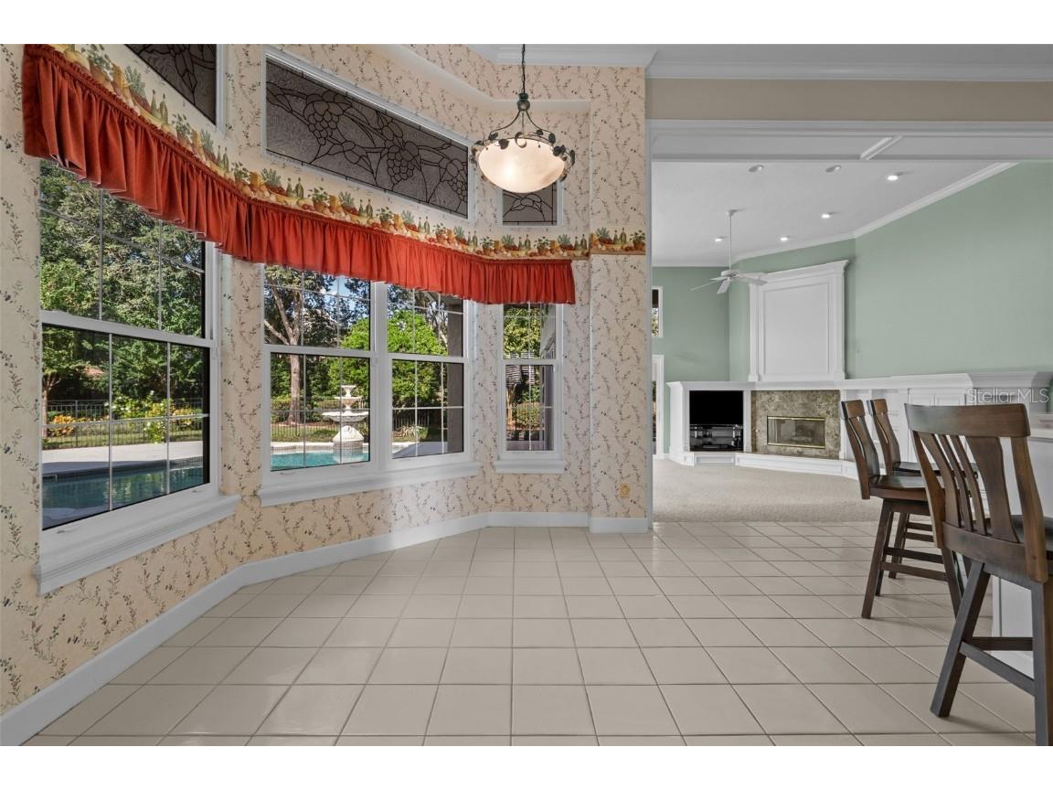 9017 Great Heron Circle Orlando FL 32836 O6356469 image11