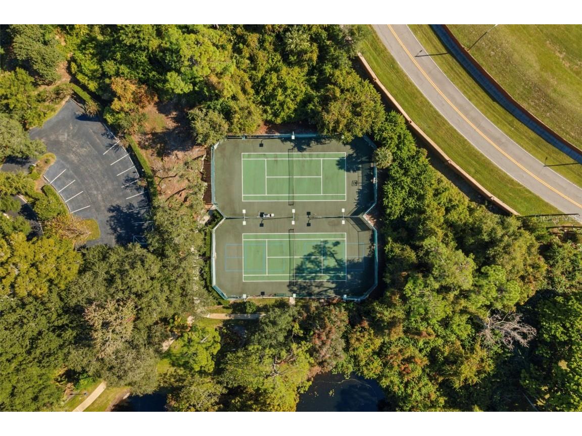 9017 Great Heron Circle Orlando FL 32836 O6356469 image51