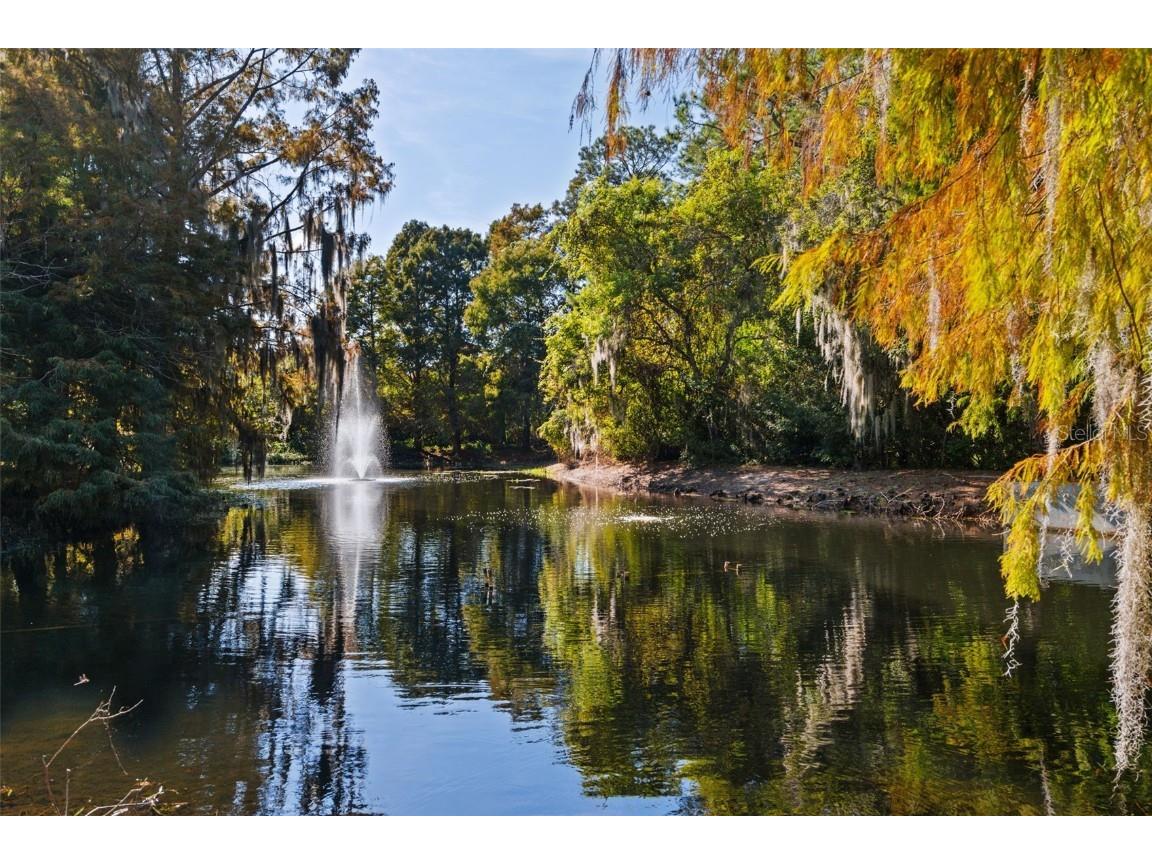 9017 Great Heron Circle Orlando FL 32836 O6356469 image55