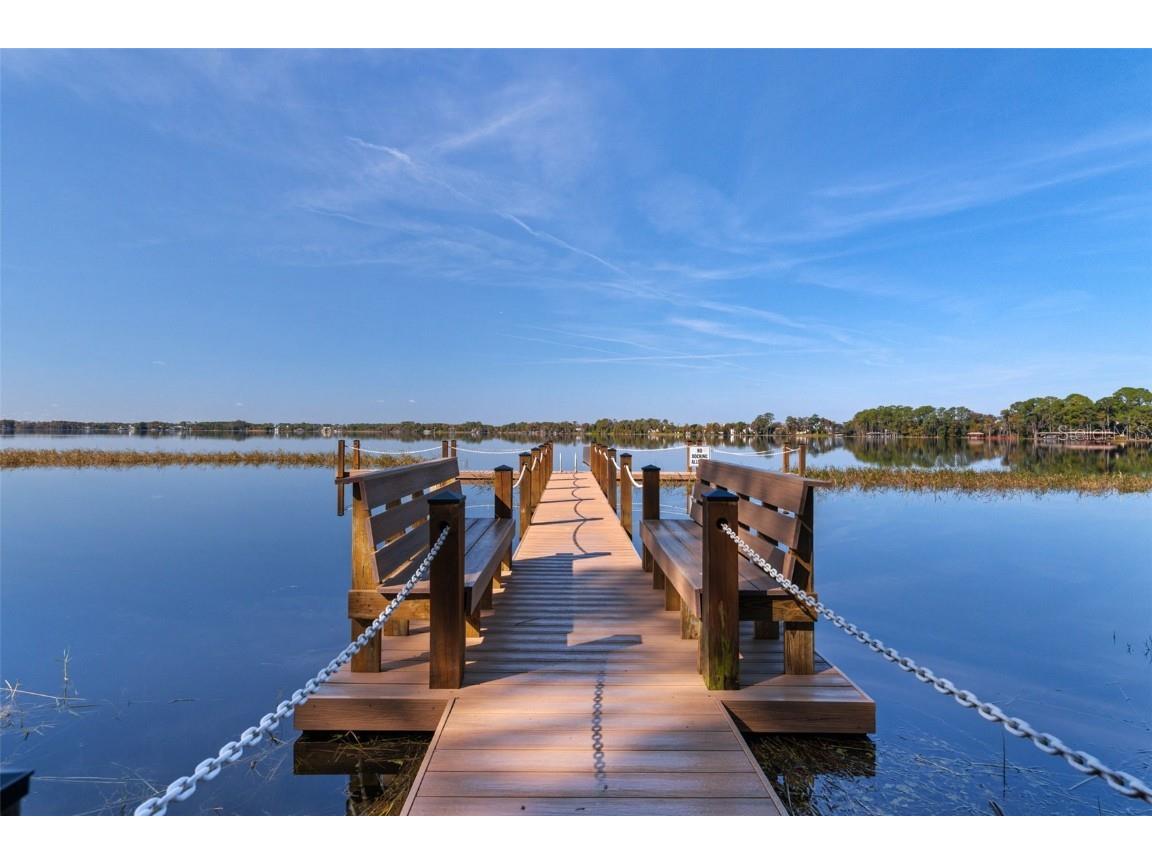 9017 Great Heron Circle Orlando FL 32836 O6356469 image57