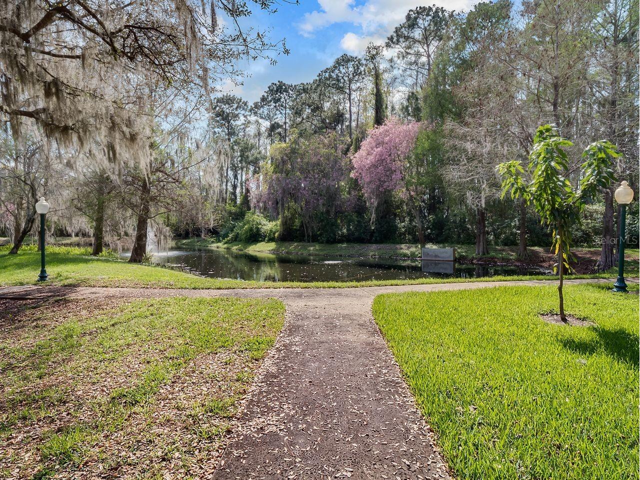 9017 Great Heron Circle Orlando FL 32836 O6403084 image54