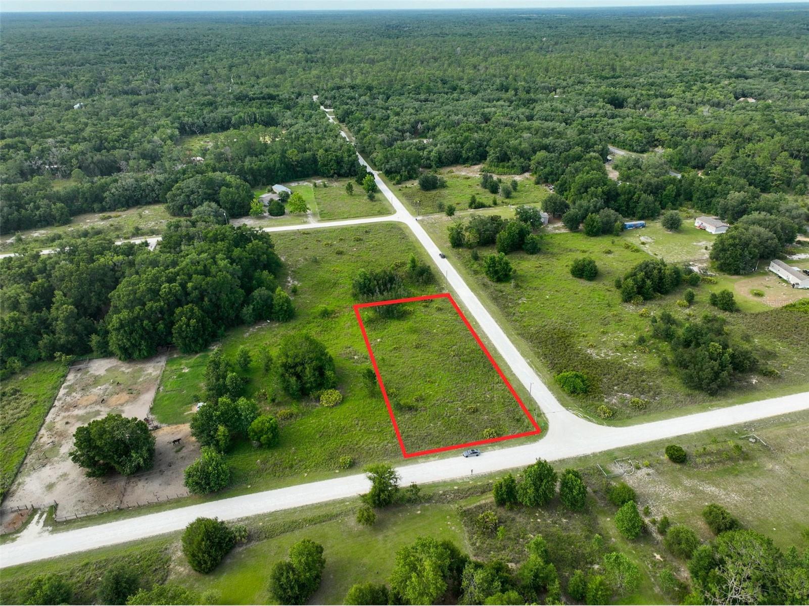 9017 Split Stone Drive Webster FL 33597 O6415615 image2