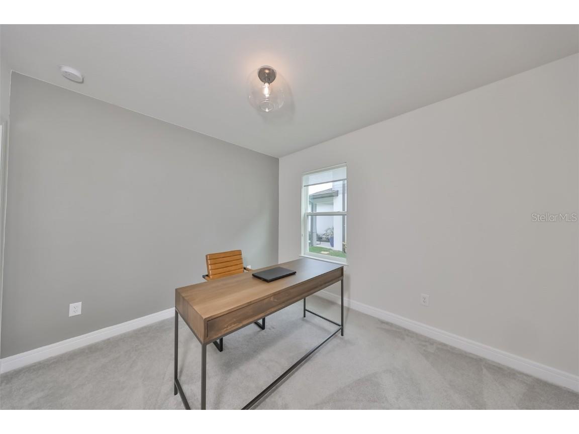 9018 Rally Spring Loop Wesley Chapel FL 33545 T3526696 image16