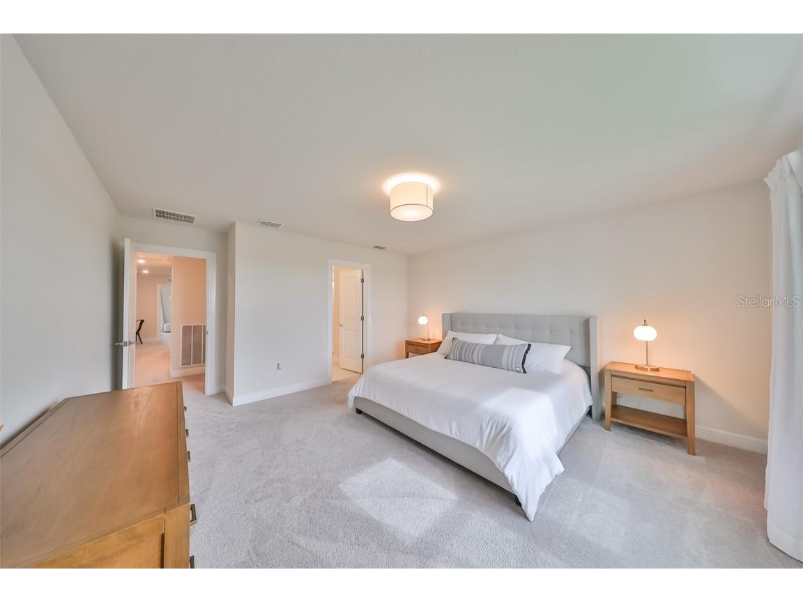 9018 Rally Spring Loop Wesley Chapel FL 33545 T3526696 image21