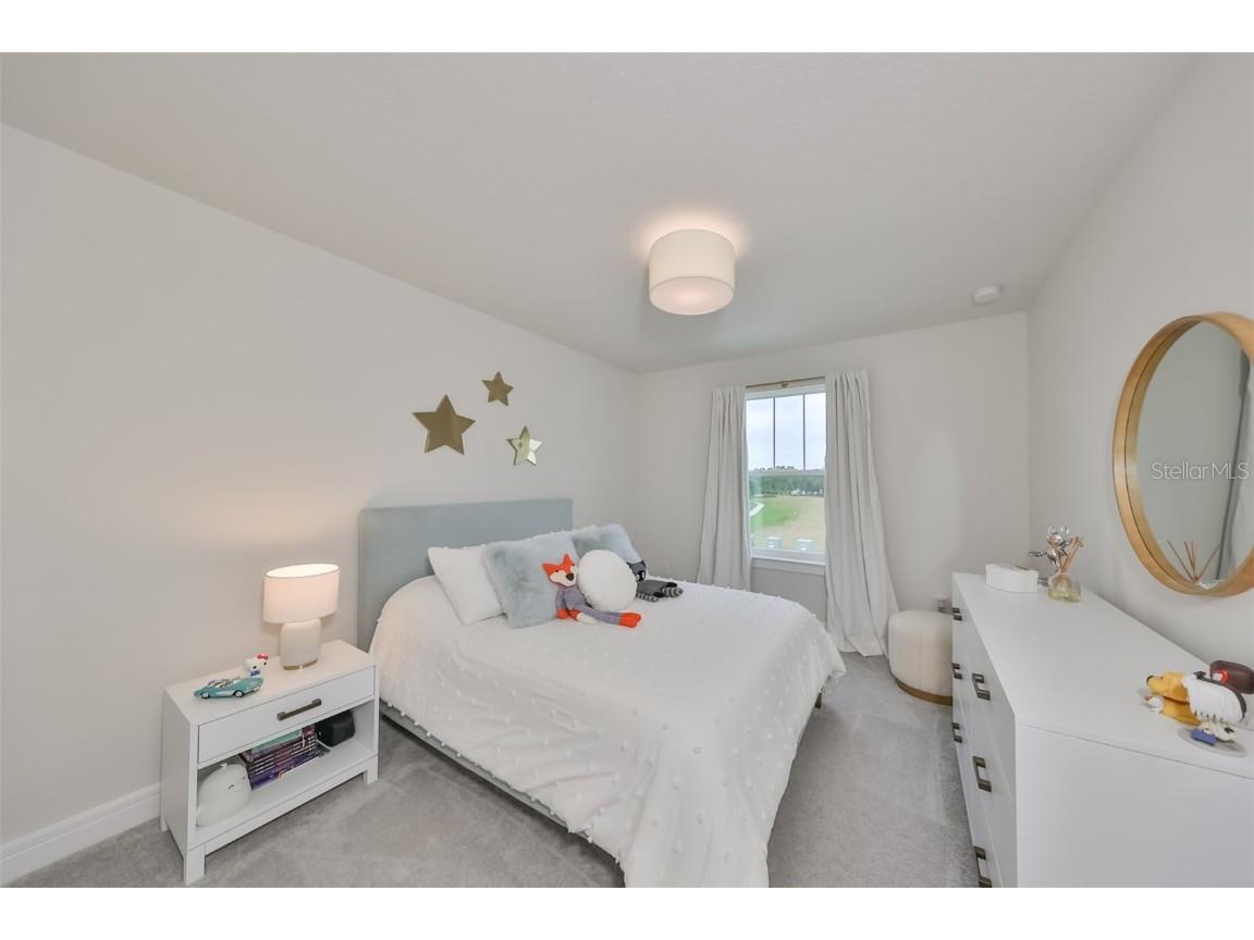 9018 Rally Spring Loop Wesley Chapel FL 33545 T3526696 image25