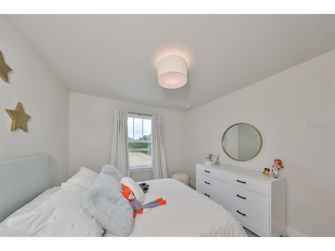 9018 Rally Spring Loop Wesley Chapel FL 33545 T3526696 image26