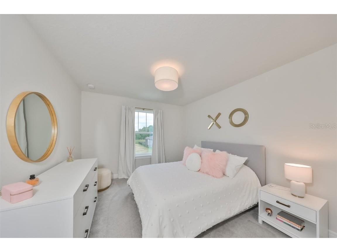 9018 Rally Spring Loop Wesley Chapel FL 33545 T3526696 image28