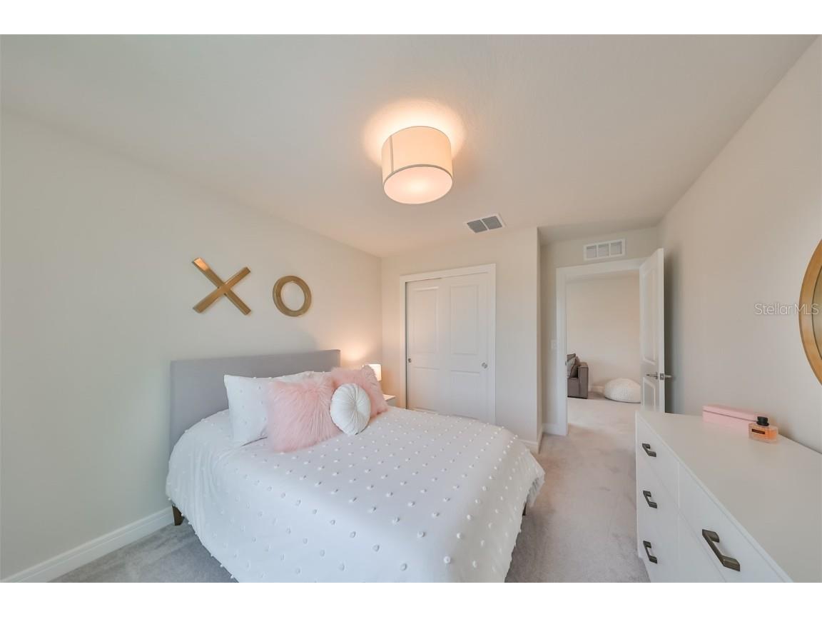 9018 Rally Spring Loop Wesley Chapel FL 33545 T3526696 image29