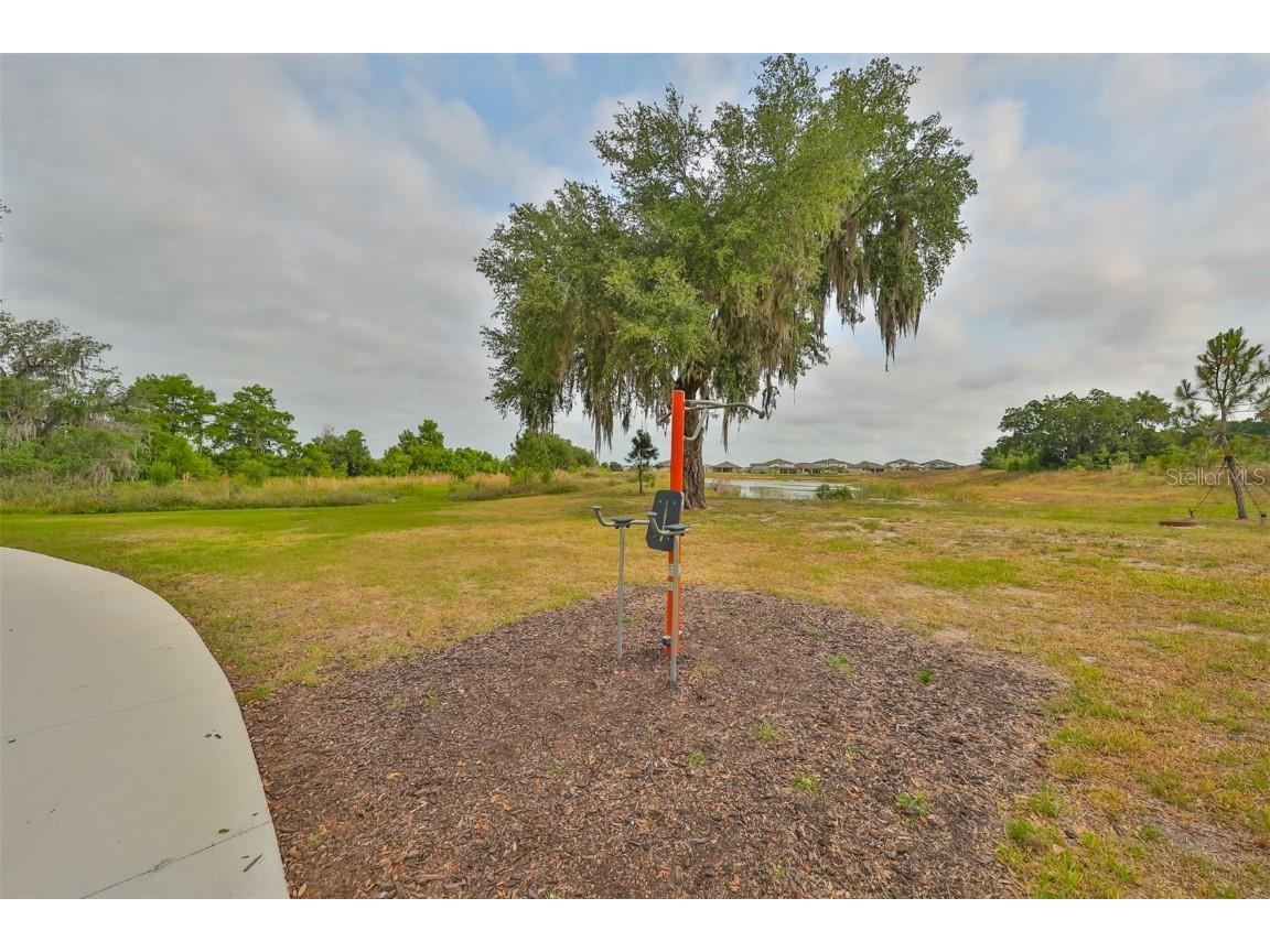 9018 Rally Spring Loop Wesley Chapel FL 33545 T3526696 image42