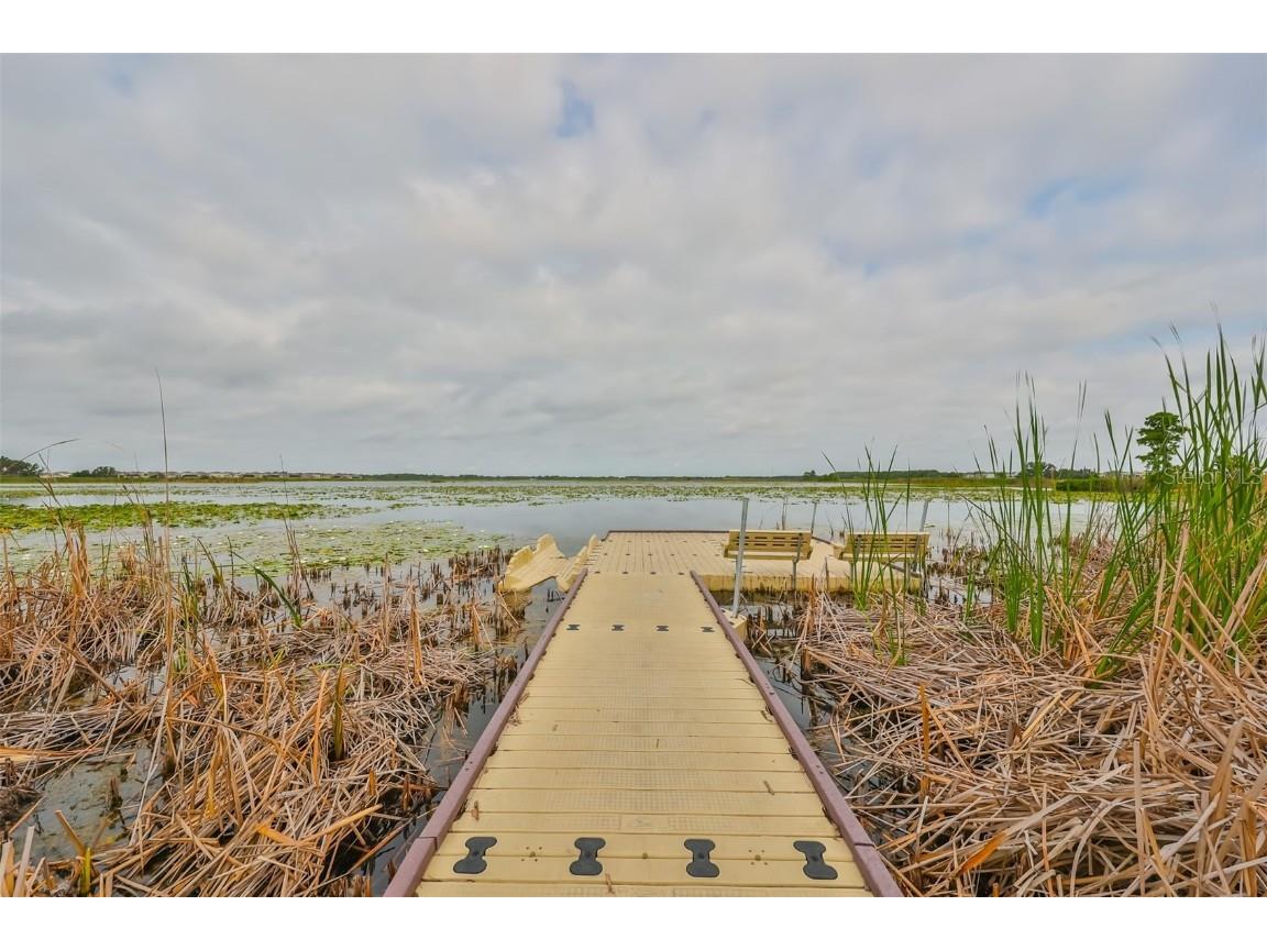 9018 Rally Spring Loop Wesley Chapel FL 33545 T3526696 image44