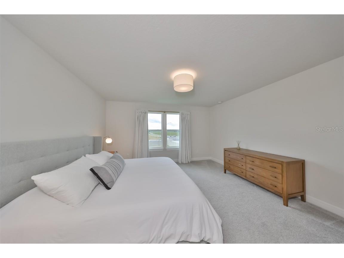 9018 Rally Spring Loop Wesley Chapel FL 33545 T3526696 image53