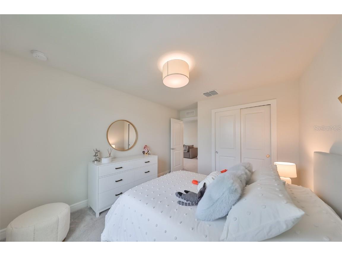 9018 Rally Spring Loop Wesley Chapel FL 33545 T3526696 image55