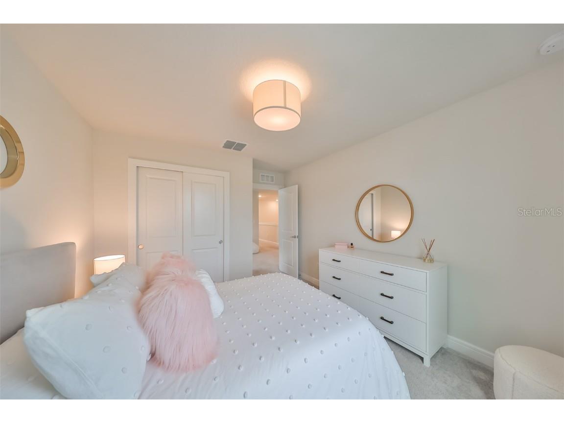 9018 Rally Spring Loop Wesley Chapel FL 33545 T3526696 image56