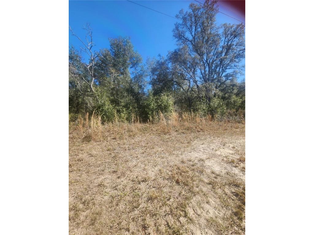 9019 N Elkcam Boulevard Citrus Springs FL 34433 U8229647 image1