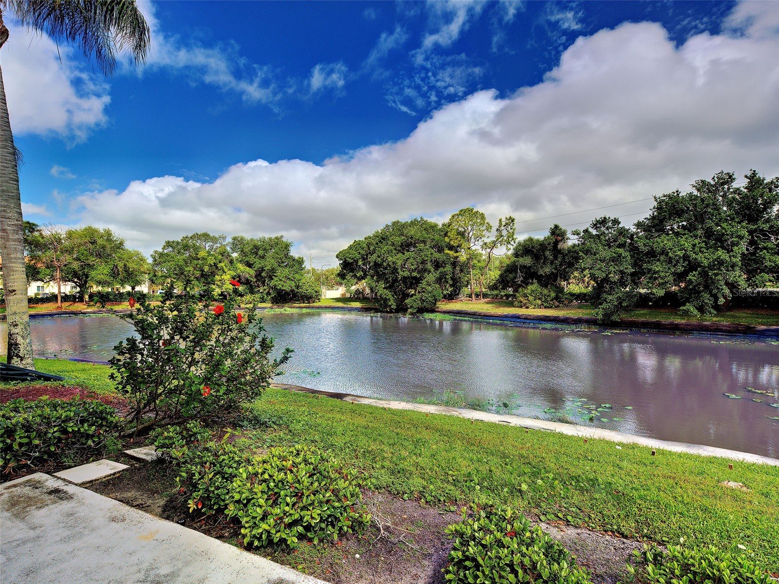902 Addington Court #103 Venice FL 34293 N6143820 image39