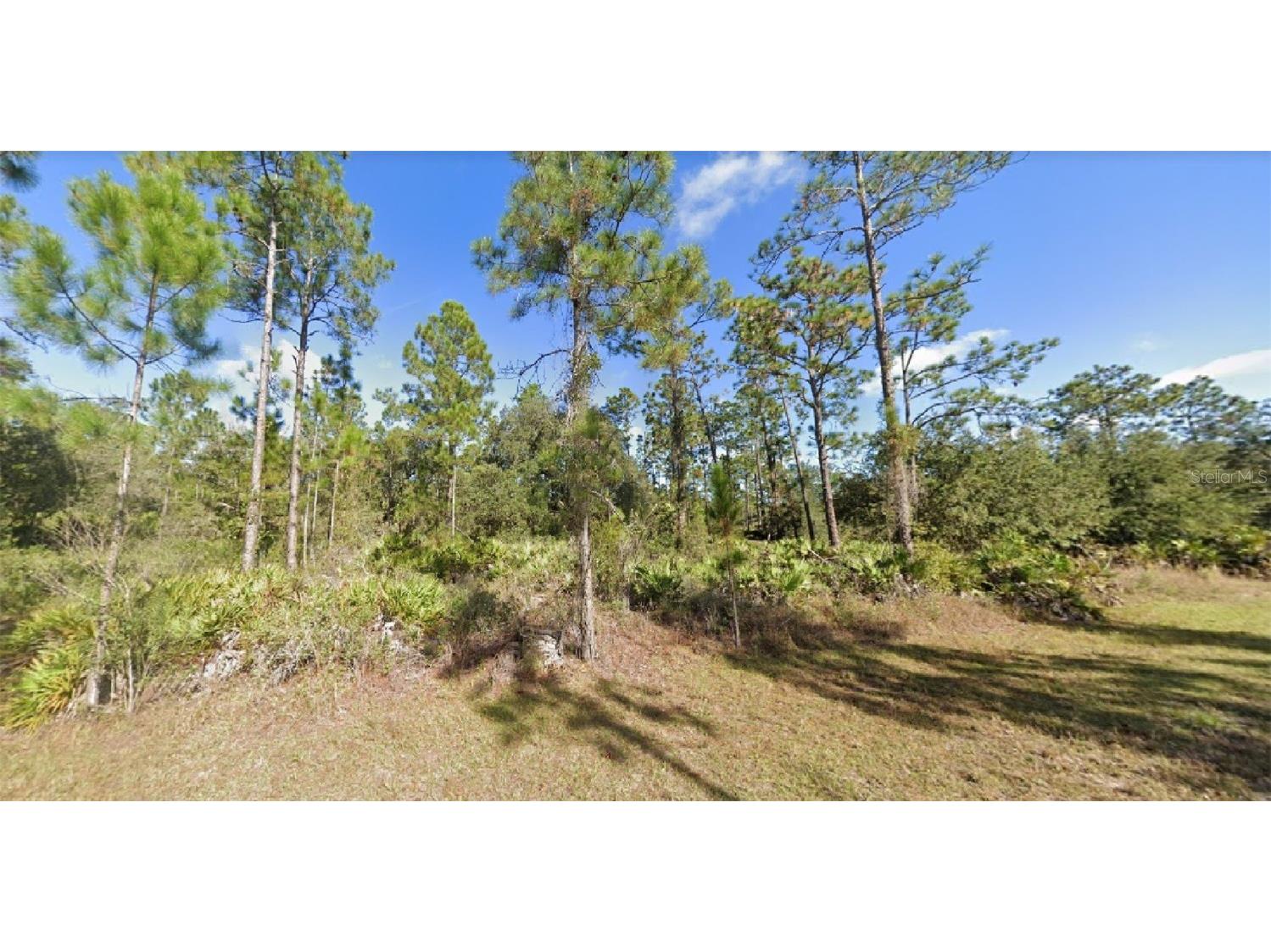 902 Alba Drive Indian Lake Estates FL 33855 O6077169 image1