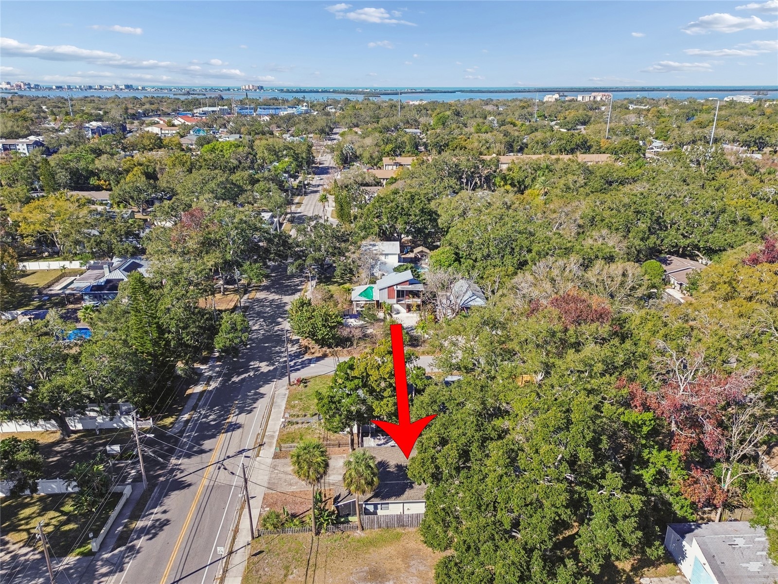 902 Beltrees Street Dunedin FL 34698 TB8469946 image2