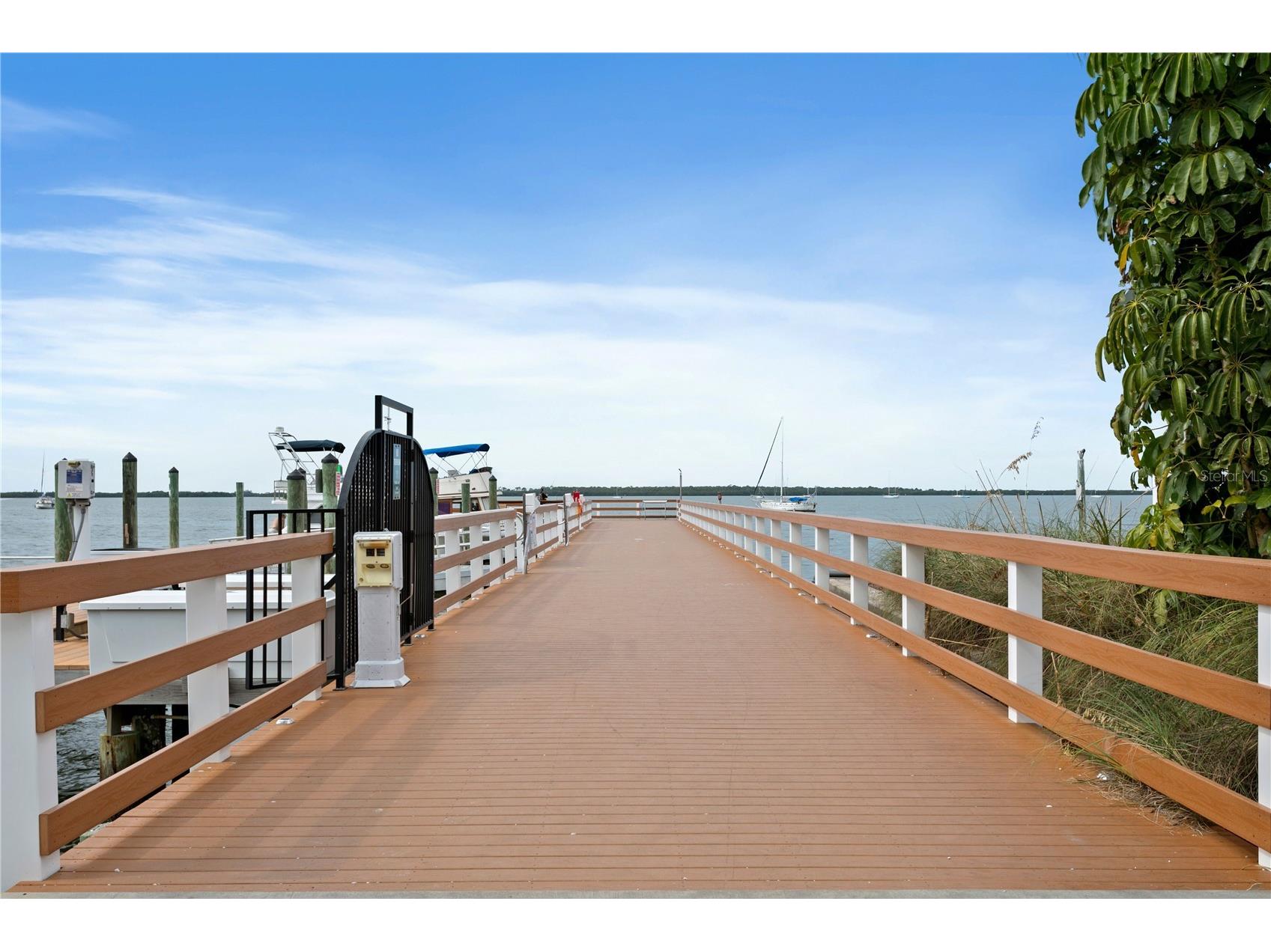 902 Beltrees Street Dunedin FL 34698 TB8469946 image55