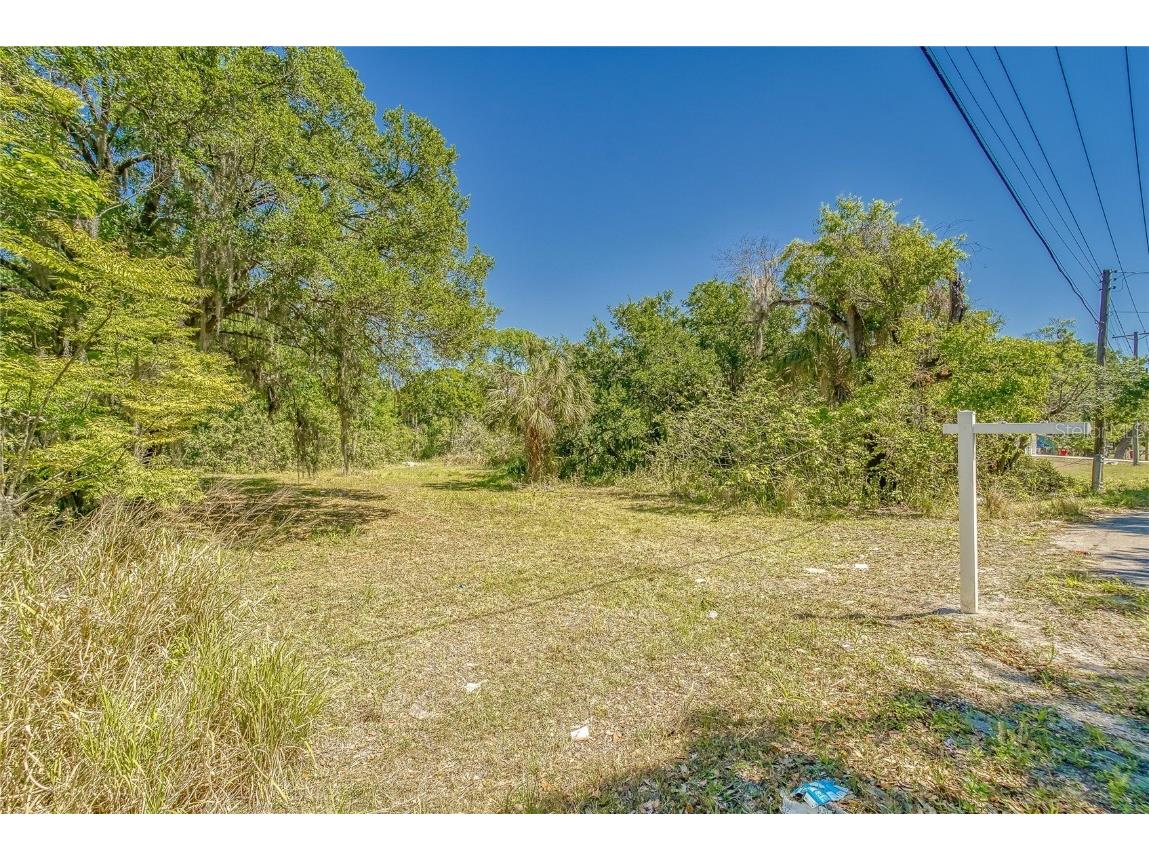 902 E Alsobrook Street Plant City FL 33563 T3435050 image1