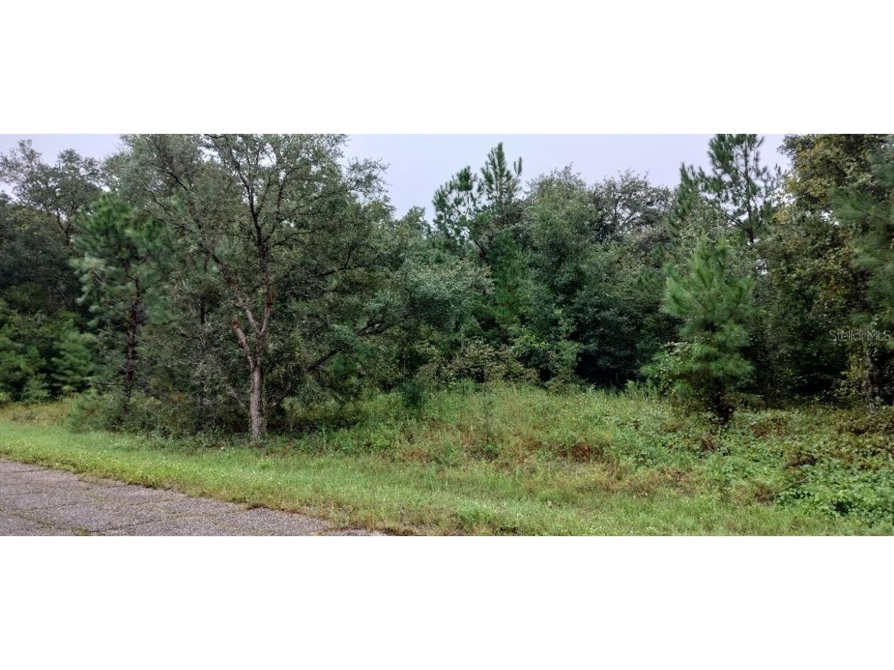 902 E Noah Lane Dunnellon FL 34434 TB8310558 image1