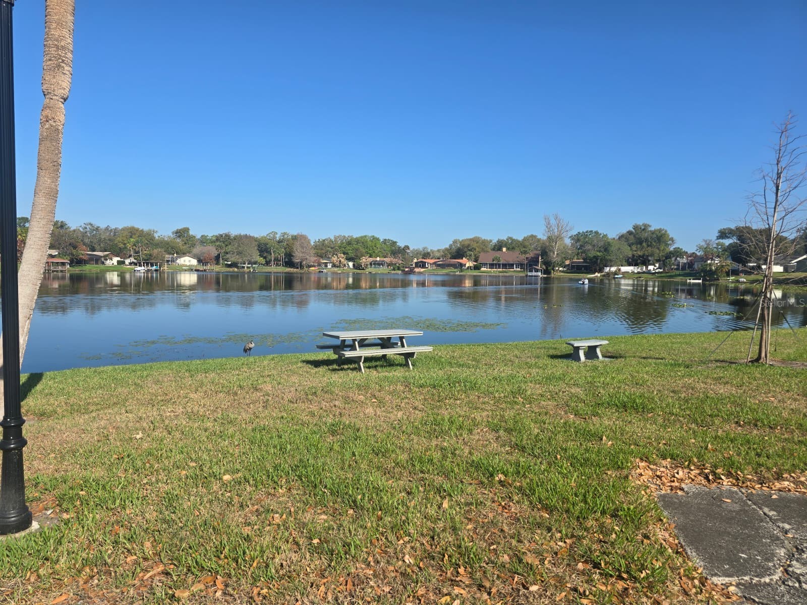 902 Lake Destiny Road #C Altamonte Springs FL 32714 O6410499 image19