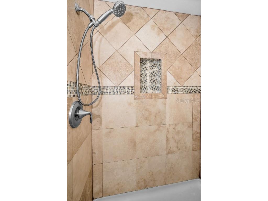 902 Lennox Road W #902 Palm Harbor FL 34683 TB8424736 image21