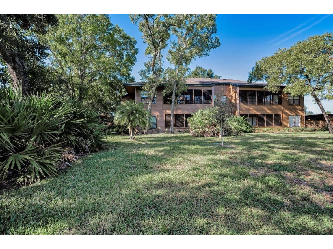 902 Lennox Road W #902 Palm Harbor FL 34683 TB8424736 image36