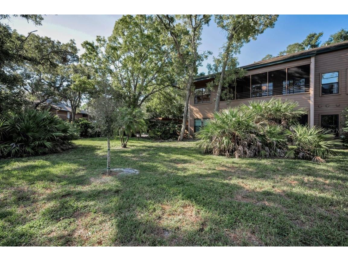 902 Lennox Road W #902 Palm Harbor FL 34683 TB8424736 image37