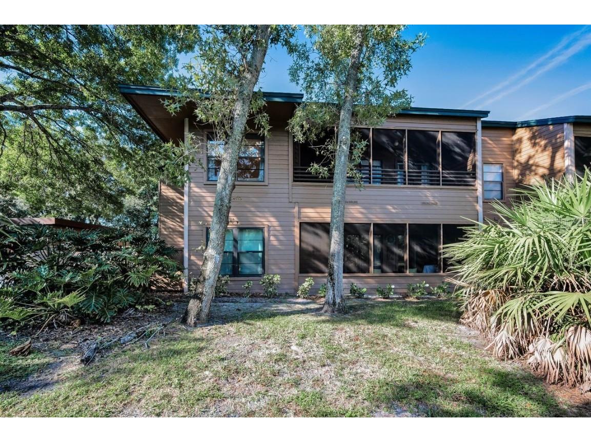 902 Lennox Road W #902 Palm Harbor FL 34683 TB8424736 image38