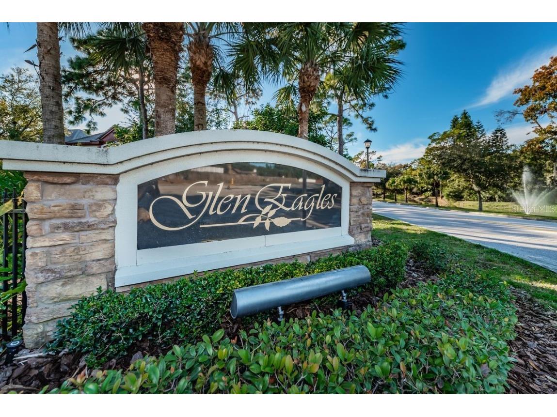 902 Lennox Road W #902 Palm Harbor FL 34683 TB8424736 image39