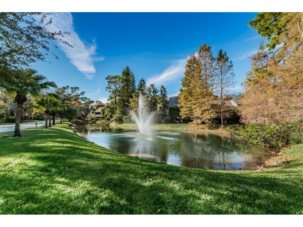 902 Lennox Road W #902 Palm Harbor FL 34683 TB8424736 image40