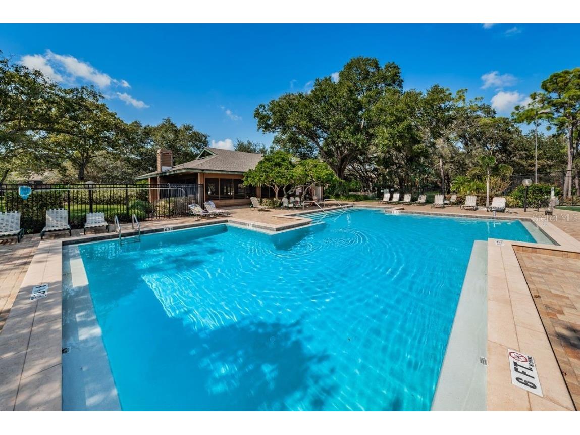 902 Lennox Road W #902 Palm Harbor FL 34683 TB8424736 image54