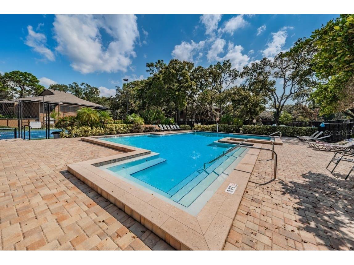 902 Lennox Road W #902 Palm Harbor FL 34683 TB8424736 image56