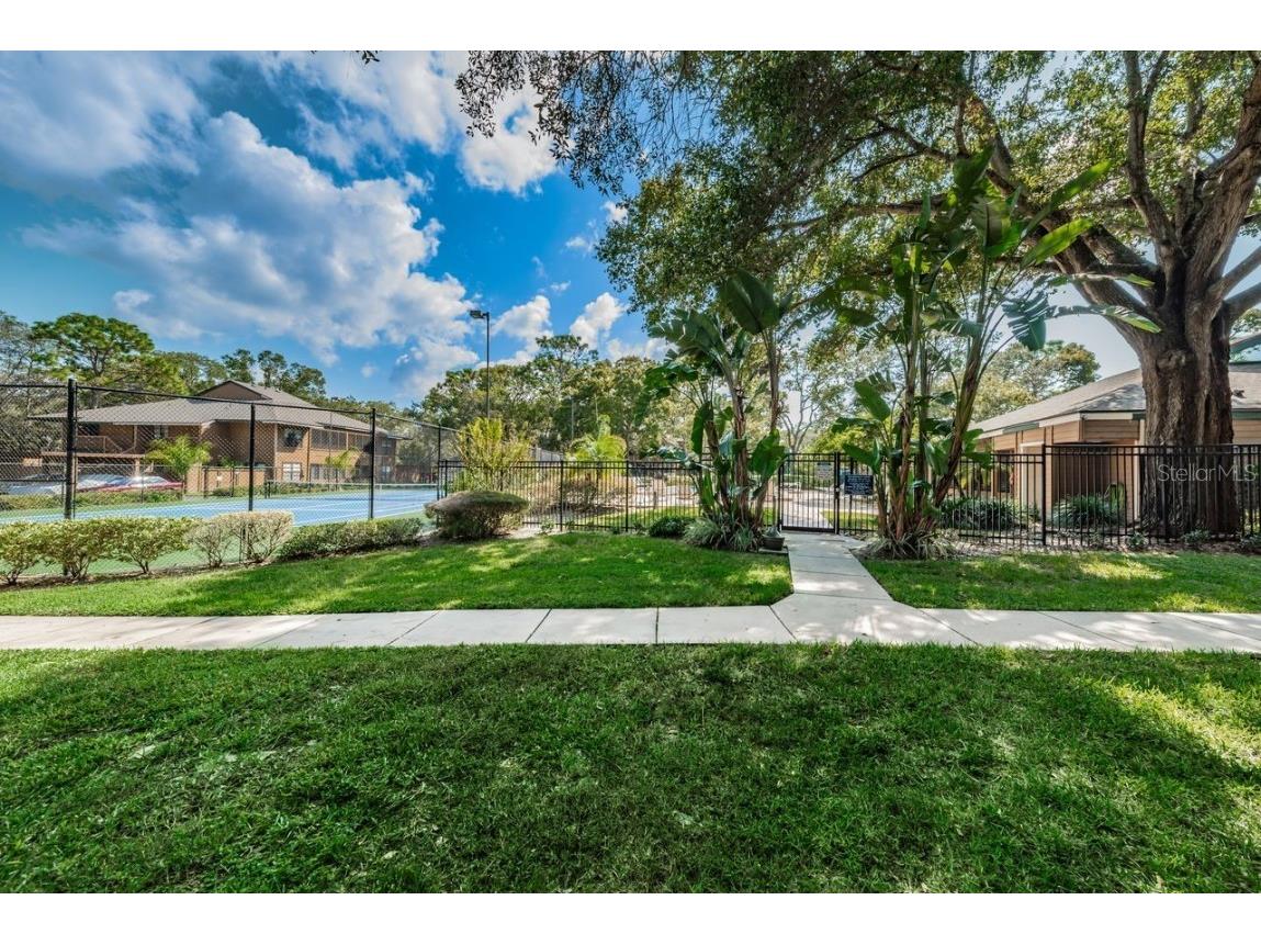 902 Lennox Road W #902 Palm Harbor FL 34683 TB8424736 image57