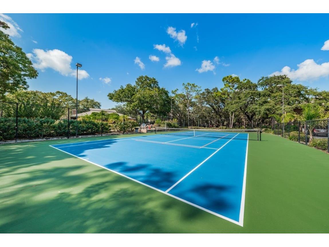 902 Lennox Road W #902 Palm Harbor FL 34683 TB8424736 image59