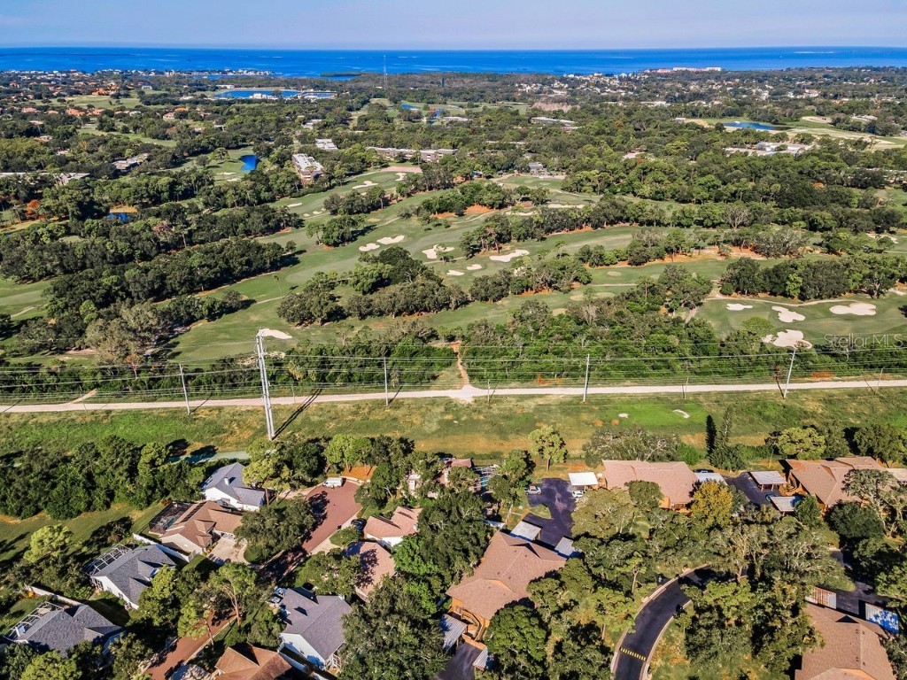 902 Lennox Road W #902 Palm Harbor FL 34683 TB8424736 image61