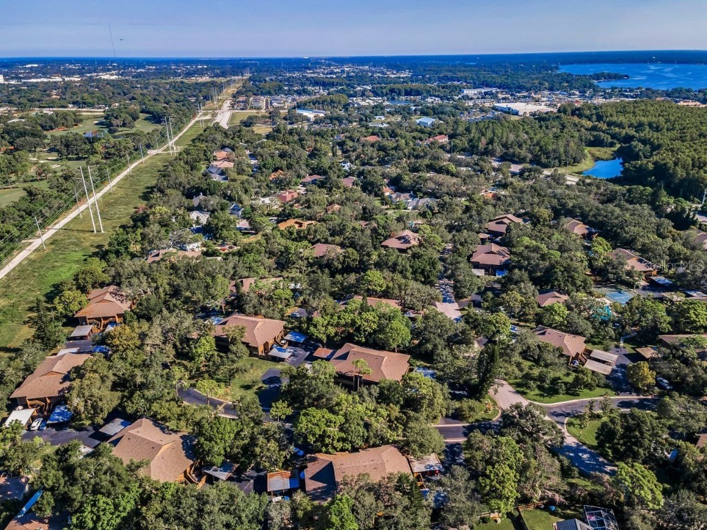 902 Lennox Road W #902 Palm Harbor FL 34683 TB8424736 image62