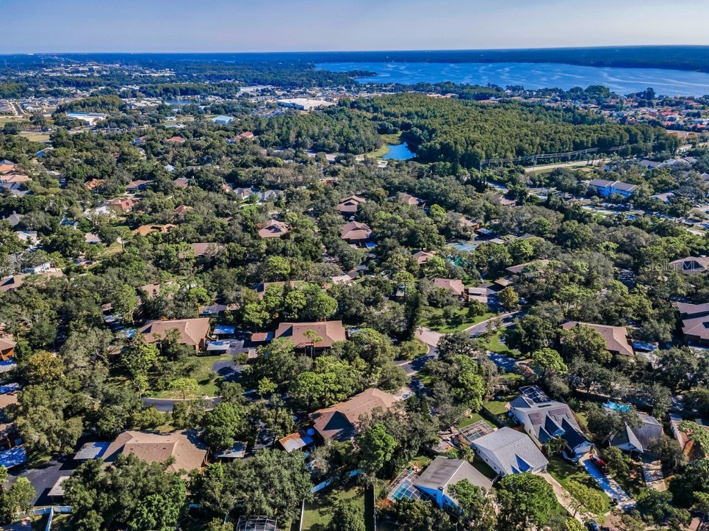 902 Lennox Road W #902 Palm Harbor FL 34683 TB8424736 image63