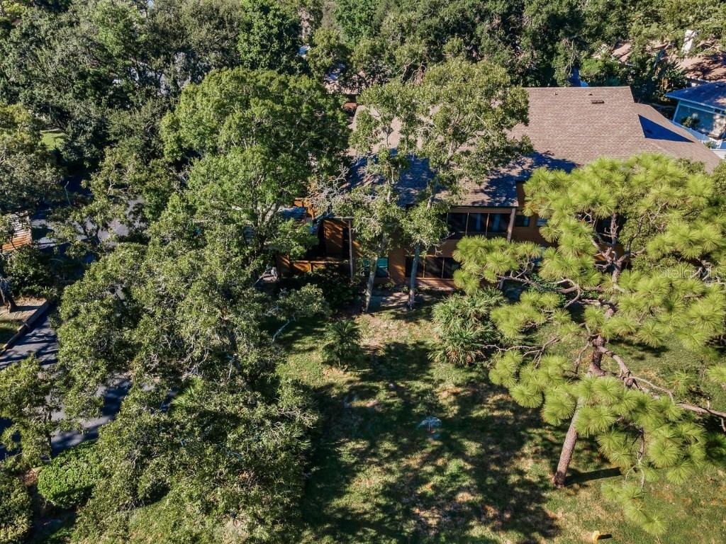 902 Lennox Road W #902 Palm Harbor FL 34683 TB8424736 image64