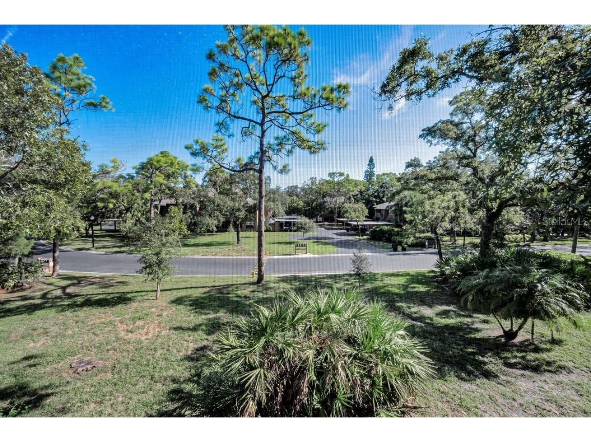 902 Lennox Road W #902 Palm Harbor FL 34683 TB8424736 image66