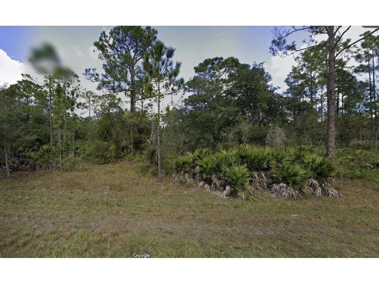 902 Magnolia Drive Indian Lake Estates FL 33855 - LAKE WALK-IN-WATER TB8352016 image1