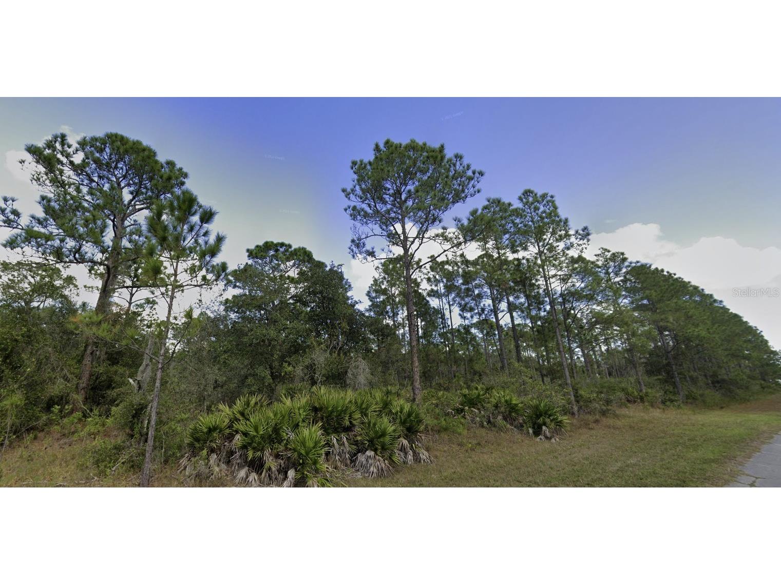 902 Magnolia Drive Indian Lake Estates FL 33855 - LAKE WALK-IN-WATER TB8352016 image3
