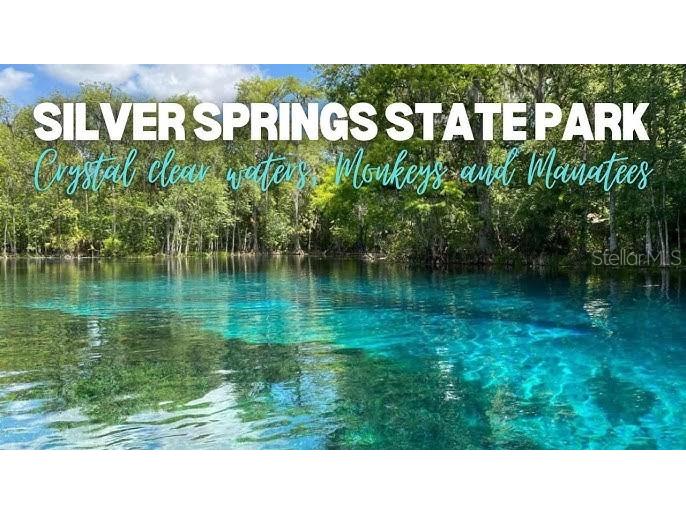 902 NE 130th Terrace Silver Springs FL 34488 OM715942 image41