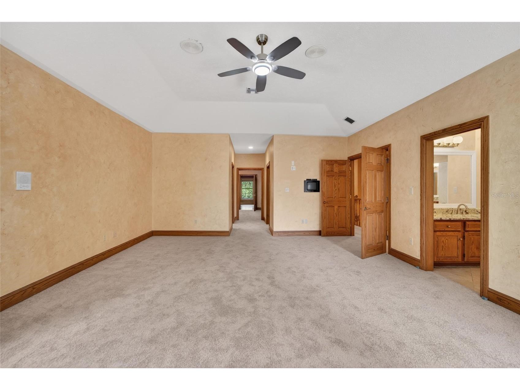902 River Rapids Avenue Brandon FL 33511 TB8491110 image36