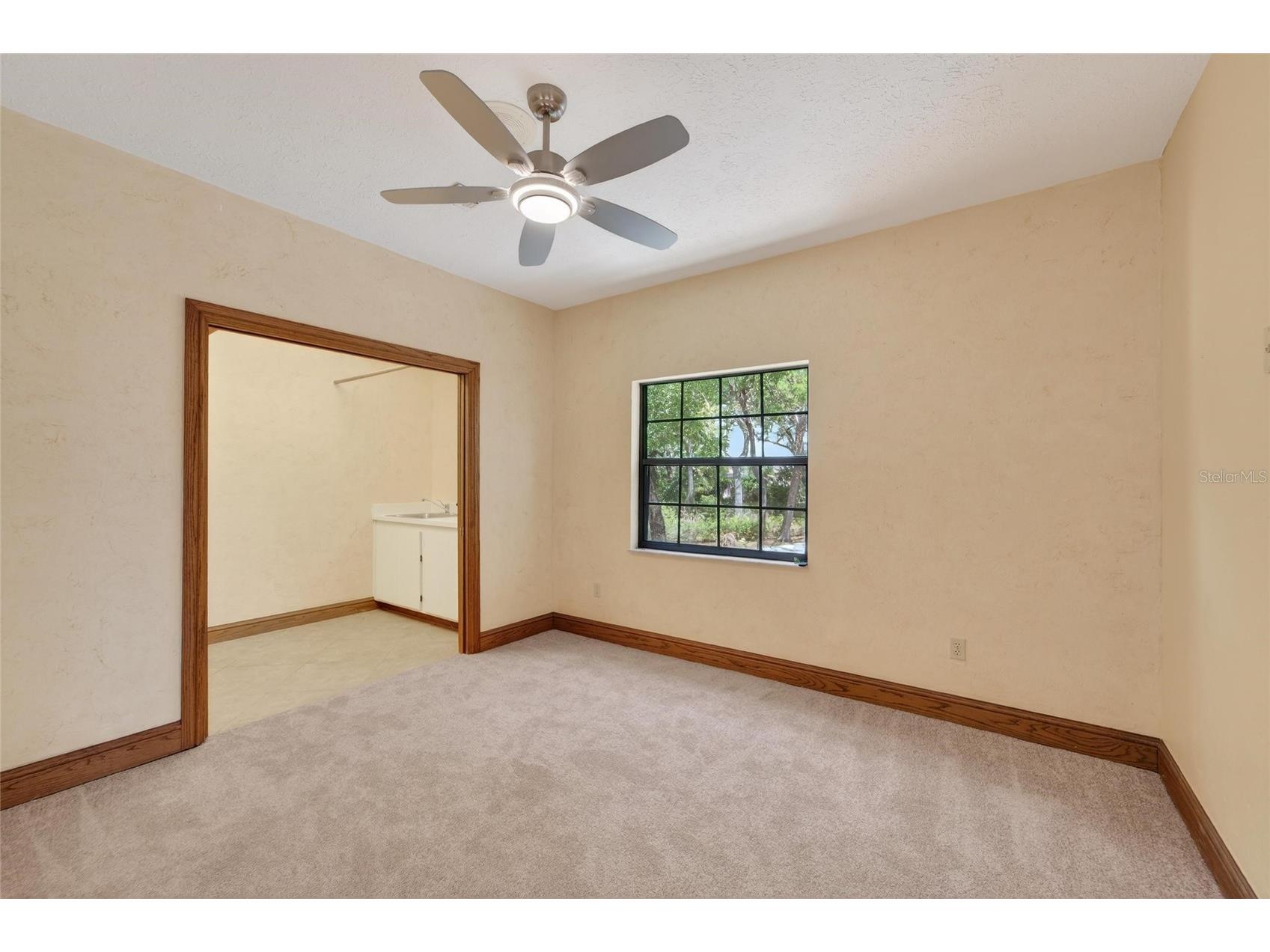 902 River Rapids Avenue Brandon FL 33511 TB8491110 image51