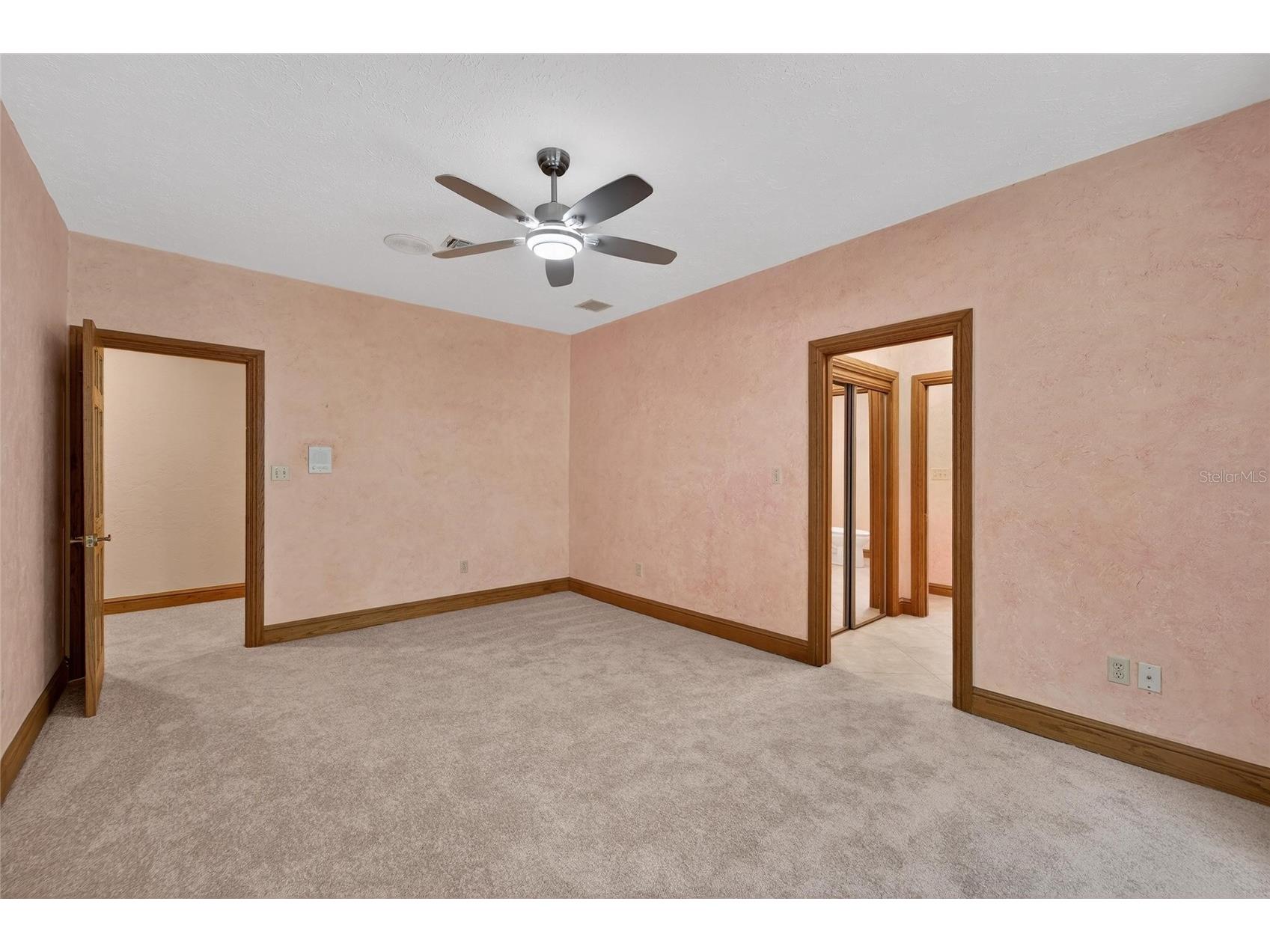 902 River Rapids Avenue Brandon FL 33511 TB8491110 image58