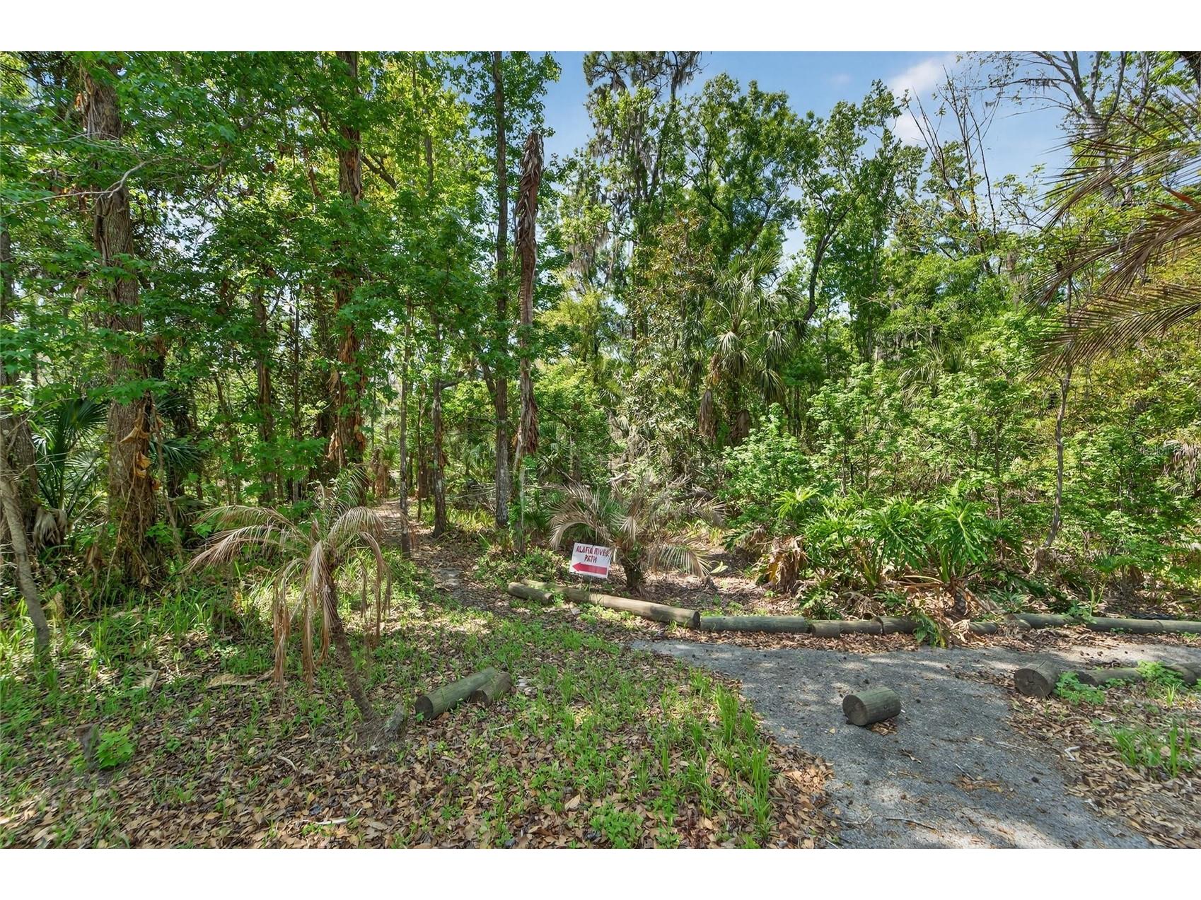 902 River Rapids Avenue Brandon FL 33511 TB8491110 image71