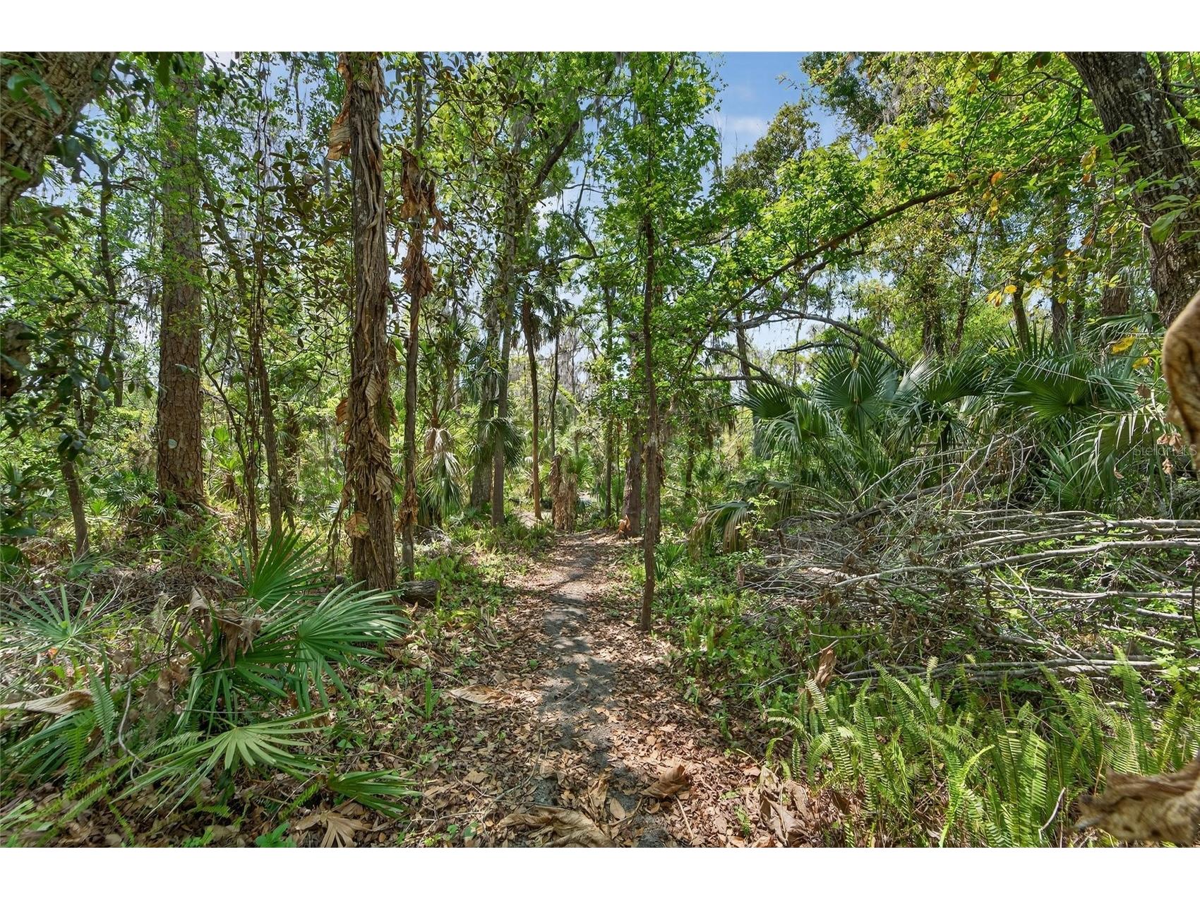 902 River Rapids Avenue Brandon FL 33511 TB8491110 image72