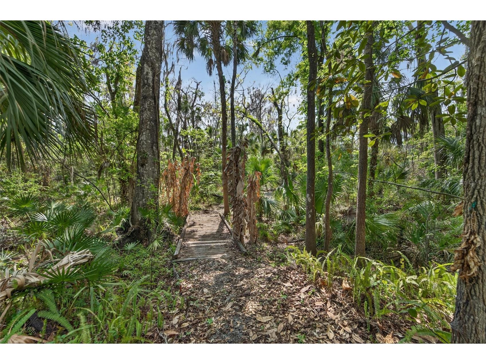 902 River Rapids Avenue Brandon FL 33511 TB8491110 image73