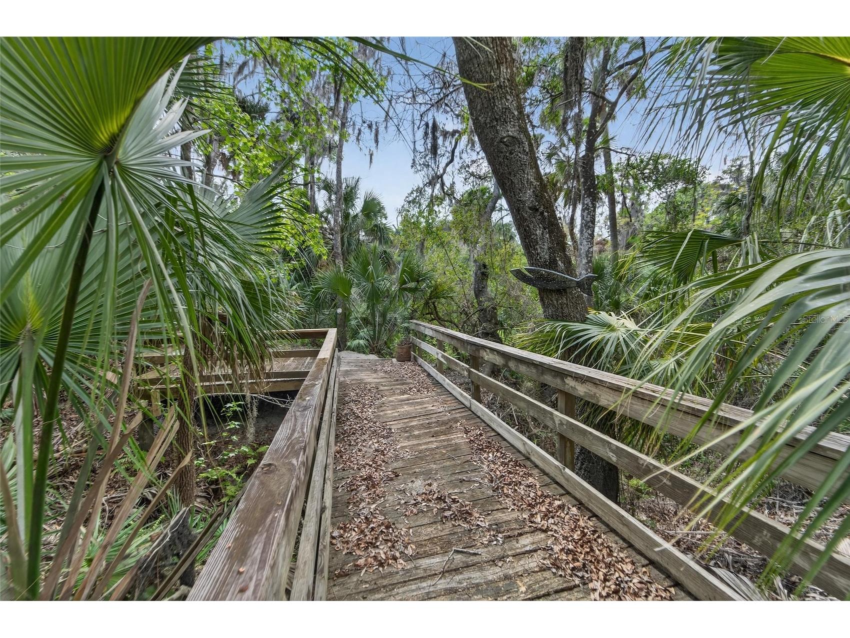 902 River Rapids Avenue Brandon FL 33511 TB8491110 image74